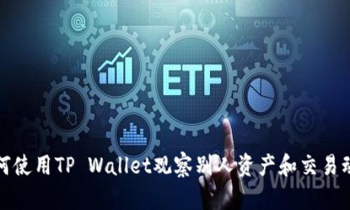 如何使用TP Wallet观察别人资产和交易动态