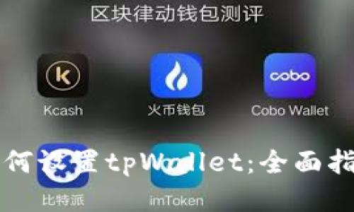 如何设置tpWallet：全面指南