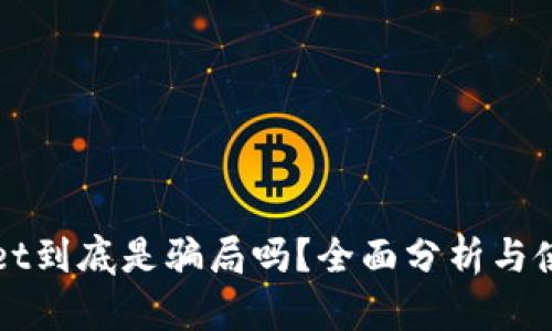 tpWallet到底是骗局吗？全面分析与使用指南