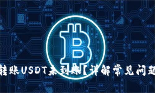: 货币钱包转账USDT未到账？详解常见问题及解决方案