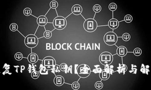 如何恢复TP钱包私钥？全面解析与解决方案