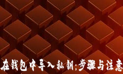 
如何在钱包中导入私钥：步骤与注意事项