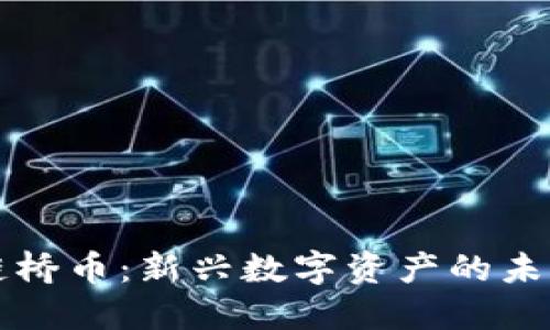 区块链桥币：新兴数字资产的未来之路