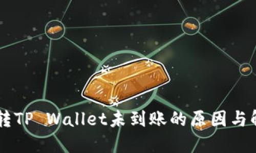 IM钱包转TP Wallet未到账的原因与解决方案