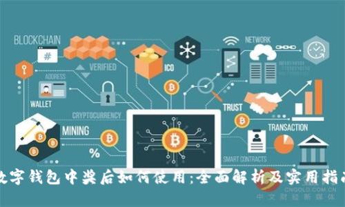 数字钱包中奖后如何使用：全面解析及实用指南