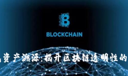  “T P钱包资产溯源：揭开区块链透明性的神秘面纱”