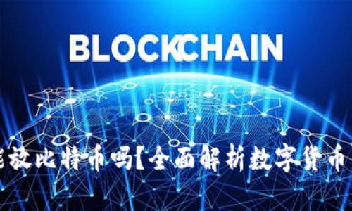 以太坊钱包能放比特币吗？全面解析数字货币钱包的兼容性