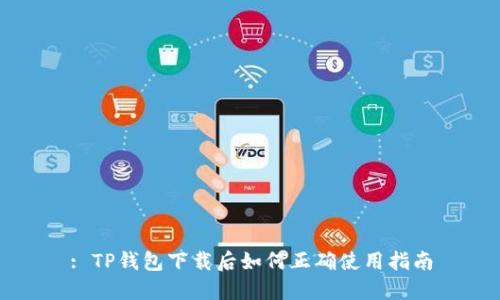 : TP钱包下载后如何正确使用指南