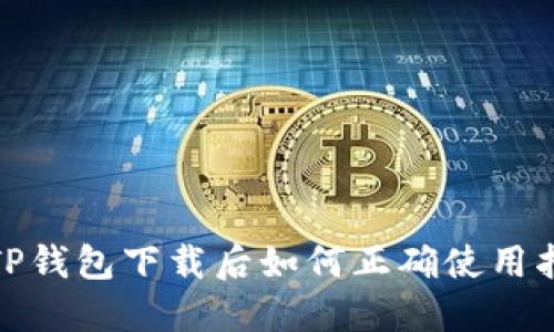 : TP钱包下载后如何正确使用指南