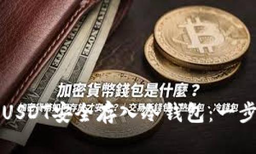 如何将USDT安全存入冷钱包：一步步指南