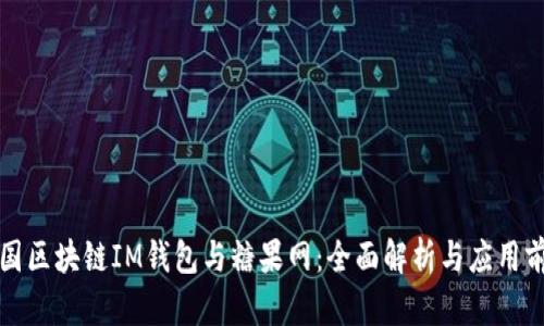 外国区块链IM钱包与糖果网：全面解析与应用前景