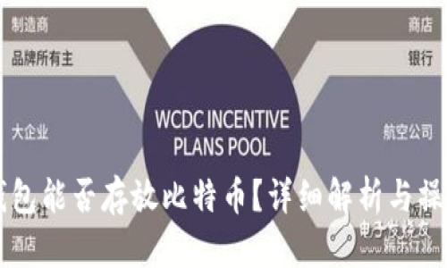 百度钱包能否存放比特币？详细解析与操作指南