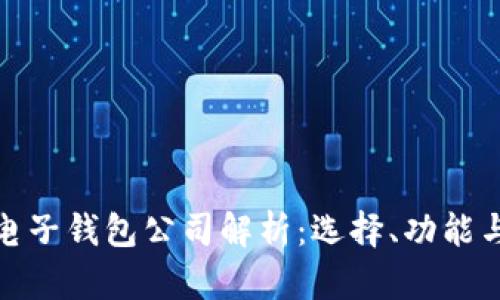 数字货币电子钱包公司解析：选择、功能与风险管理