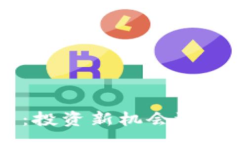  加密货币：投资新机会还是风险黑洞？