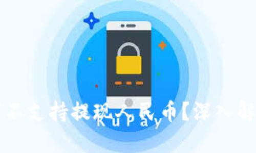 tpWallet为何不支持提现人民币？深入解析与替代方案