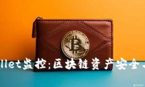 全面了解TPWallet监控：区块链资产安全与实时数据分析