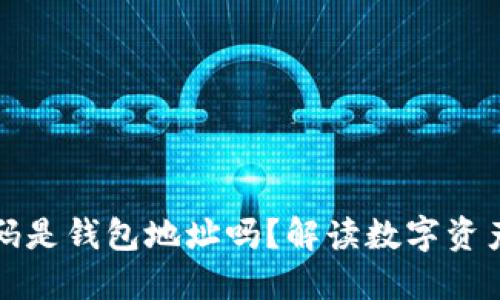 TP里的收款码是钱包地址吗？解读数字资产的支付方式