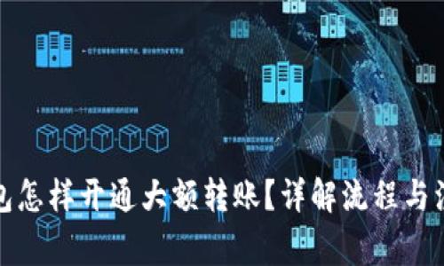 数字钱包怎样开通大额转账？详解流程与注意事项