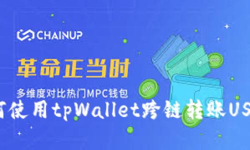 详细解读：如何使用tpWallet跨链转账USDT的完整指南