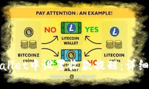 如何在tpWallet中设置收款提醒：详细步骤与技巧