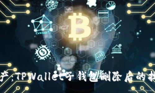  :
重拾资产：TPWallet子钱包删除后的找回指南