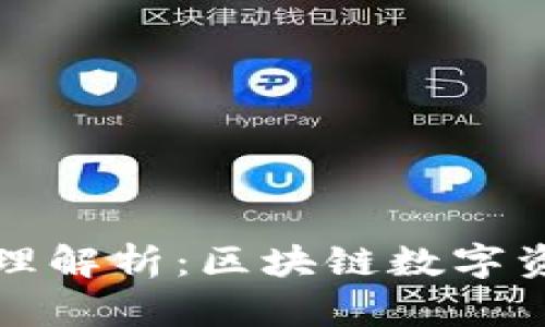 tpwallet二维码原理解析：区块链数字资产管理的生态系统