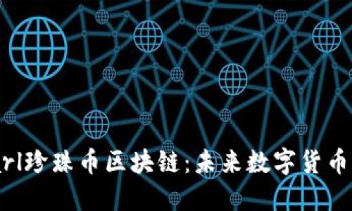 深入探讨Pearl珍珠币区块链：未来数字货币的潜力与应用