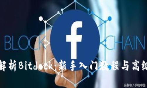 全面解析Bitdock：新手入门教程与高级技巧
