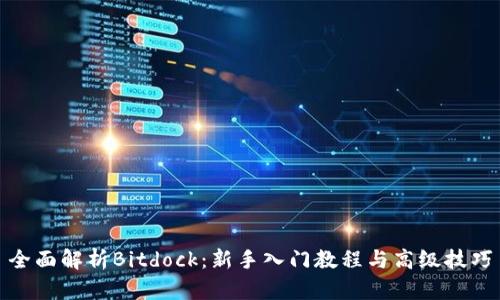 全面解析Bitdock：新手入门教程与高级技巧