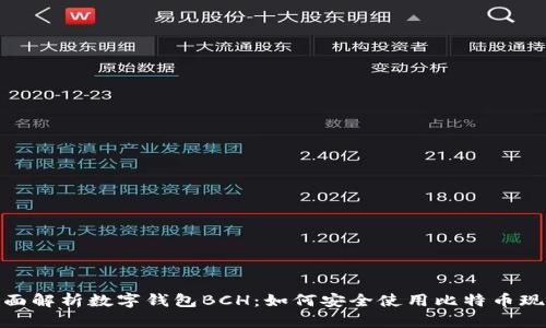 全面解析数字钱包BCH：如何安全使用比特币现金