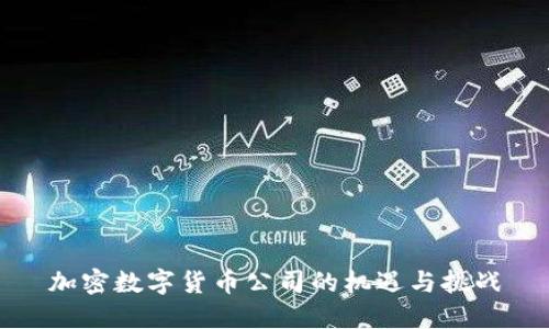 加密数字货币公司的机遇与挑战