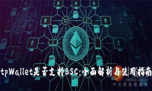 tpWallet是否支持BSC：全面解析与使用指南