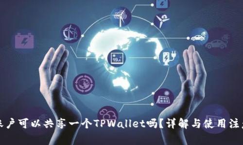 两个账户可以共享一个TPWallet吗？详解与使用注意事项