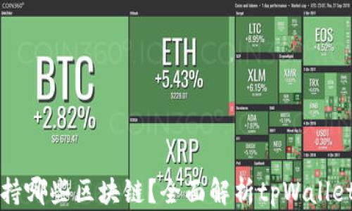 
tpWallet支持哪些区块链？全面解析tpWallet的链上生态