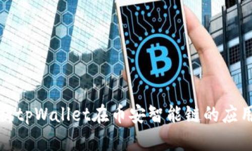 全面解析tpWallet在币安智能链的应用与优势