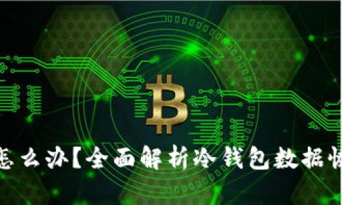 TP冷钱包丢了怎么办？全面解析冷钱包数据恢复与安全措施