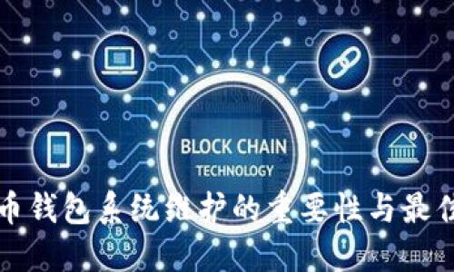 数字币钱包系统维护的重要性与最佳实践