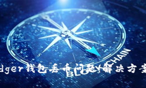 如何应对Ledger钱包丢币问题：解决方案与预防措施