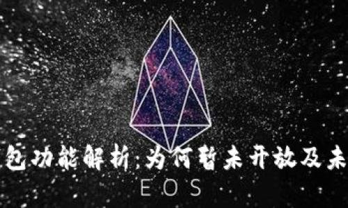 数字钱包功能解析：为何暂未开放及未来展望