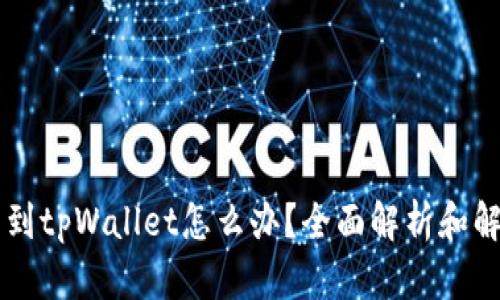 空投没到tpWallet怎么办？全面解析和解决方法