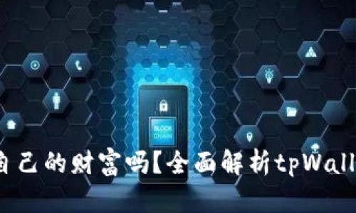 tpWallet：您真的拥有自己的财富吗？全面解析tpWallet安全性与资产所有权