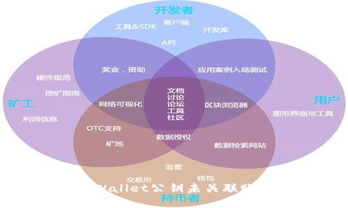 如何解决TPWallet公钥未关联账号名的问题