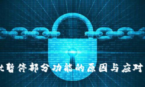 TPWallet暂停部分功能的原因与应对策略详解