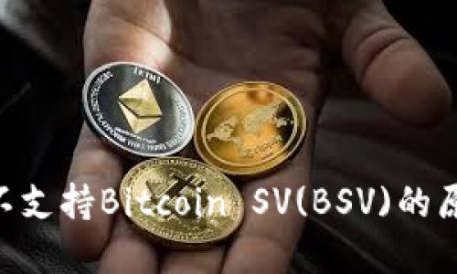 Tokenim平台不支持Bitcoin SV(BSV)的原因及解决方案