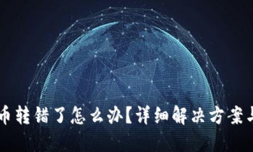 TPWallet币转错了怎么办？详细解决方案与预防指南