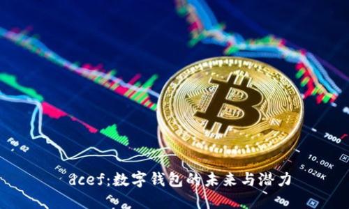  dcef：数字钱包的未来与潜力