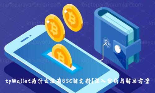 tpWallet为什么没有BSC链支持？深入分析与解决方案