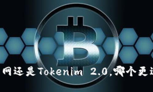 币放云币网还是Tokenim 2.0，哪个更适合投资？