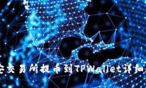 币安交易所提币到TPWallet详细教程