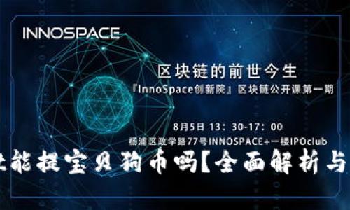 tpWallet能提宝贝狗币吗？全面解析与使用指南